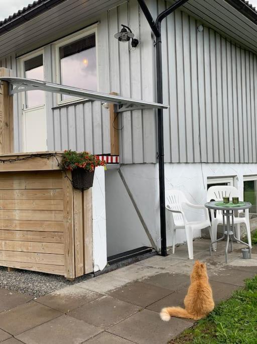 Apartamento Hybel I Underetasje 700m Fra Trogstad